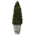 Uttermost - Uttermost Boxwood Cone Topiary - Preserved, Natural Evergreen Foliage Potted In A Light Stone Finished, Ceramic Planter. Indoor Use Only.