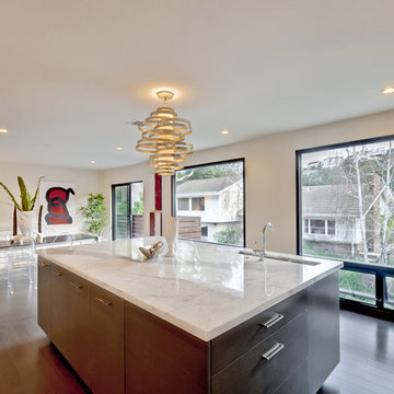 Kitchen and Bath redesign: Mount Olympus in the Hollywood Hills