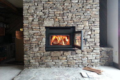 Pacific Energy Fireplace