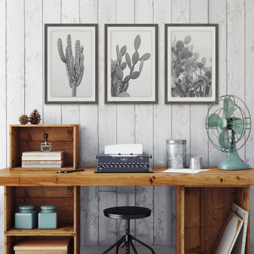 Cactus Variety Triptych