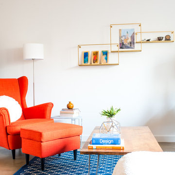 Modern Mid Century Living room