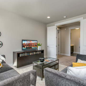 Greater Seattle Area | The Trento Bonus Room