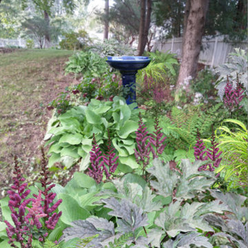 Cottage Gardens