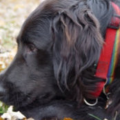 Michael Roberts's photo