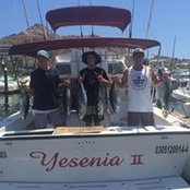 Mark Cash's photo