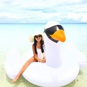 Julia Pham's photo