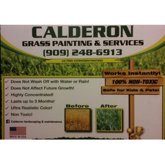 Calderon Landscaping & Grass Painting Services