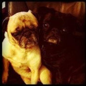 Karen Schmit Steinbruecker's photo