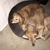 Becky Hurlbut's photo