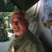 Ron Toub's photo