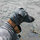 mary_piccione