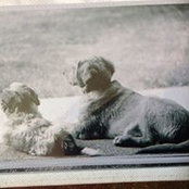 Foto von Kathrine Van Rossen