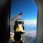 Eve Knight's photo