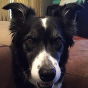 Peggy Pattis's photo