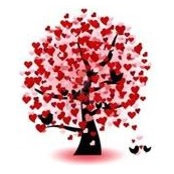 Carmen Cortina's photo