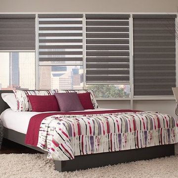 Modern Transitional Shades