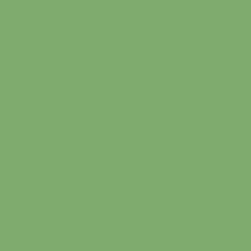Organic Green - Paint