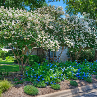 Photo of a mid-sized traditional front yard full sun garden for spring in Austin.