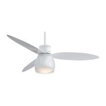 Ceiling Fans