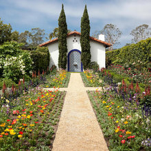 Landscape Ideas
