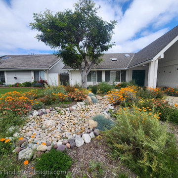 California Native Huntington Beach Garden
