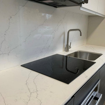 Everest Statuary Fine Vein Quartz