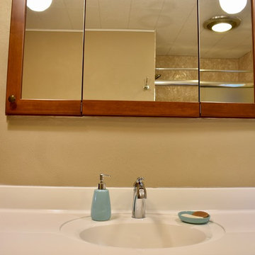 Modest Bathroom Update