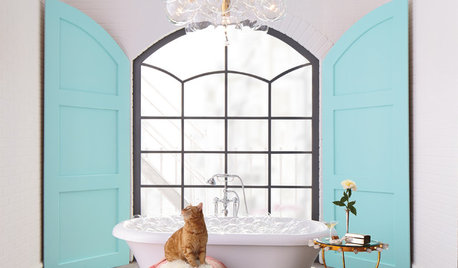 Animali in Casa: Le Regole della Lettiera per il Gatto