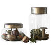 Glass Terrarium with Wood Top- Large- 19"h