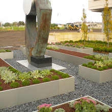 Raised Gardens