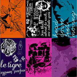 Fusion Galerie - Rugs