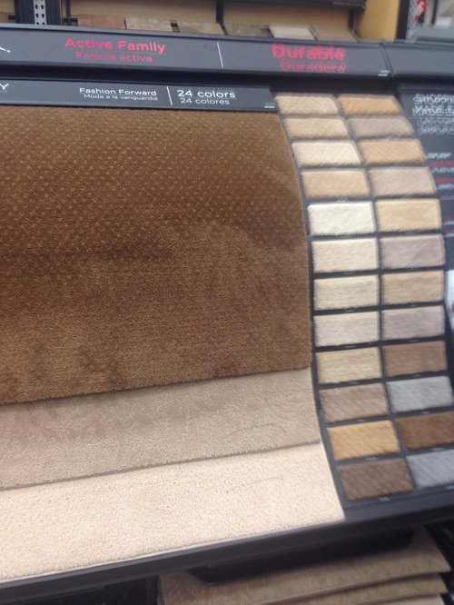 What carpet colors do you like with Benjamin Moore revere pewter? Whit