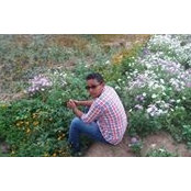 Karki Pradeeps foto