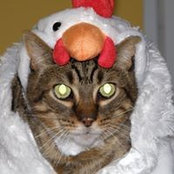 Kitty Ward's photo