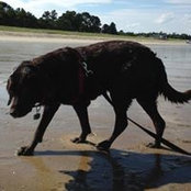 David Hanright's photo