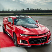 Matthew Dlouhy's photo
