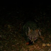 Tanya Harkins's photo