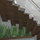 apexdesigngroup