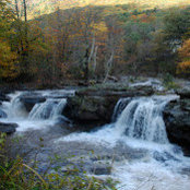 Bob Malkin's photo