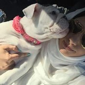Sarah Al Sharif's photo
