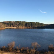 Kristin Wagner's photo