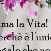 diana saed's photo