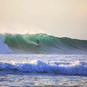 john hale's photo