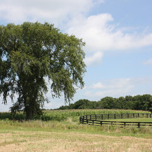 Dream Farm