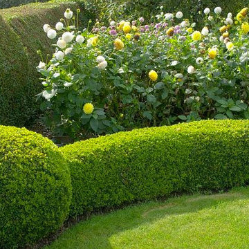 Landscape Gallery