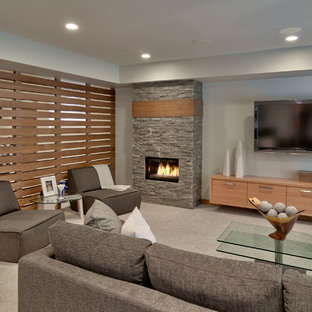 Design ideas for a contemporary basement in Other.