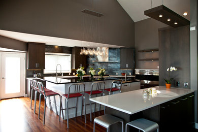 Inspiration for a contemporary kitchen remodel in Other