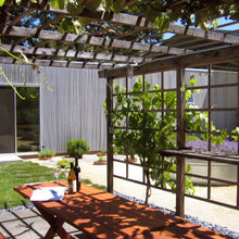 Trellis