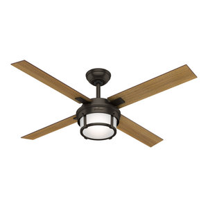 Hunter Fan Company 52 Cassius Ceiling Fan Transitional