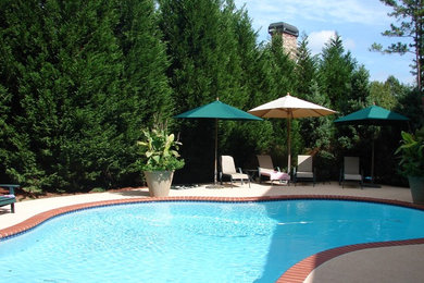 Elegant backyard stone and custom-shaped natural hot tub photo in Atlanta